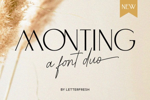 Monting Duo Font for Web Design