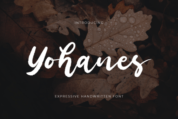 Yohanes: A Sweet Script Font for Digital Branding
